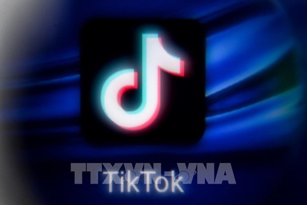 TikTok удалил 2,4 миллиона видеороликов вьетнамских пользователеи из-за нарушении hinh anh 1