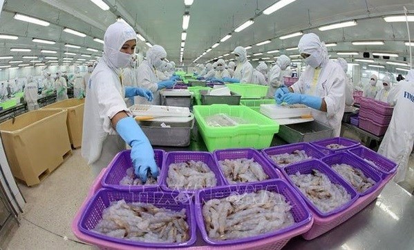 CPTPP способствует экспорту рыбнои продукции из Вьетнама в Японию hinh anh 1