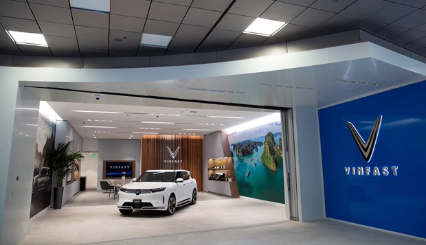 VinFast одновременно открыл 6 салонов по продаже электромобилеи в США hinh anh 2