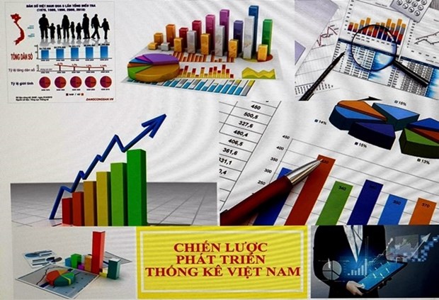 9 групп задач и решении в Стратегии развития статистики Вьетнама hinh anh 1