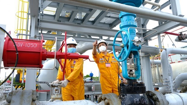 PV GAS D стремится стать ведущим дистрибьютором природного газа hinh anh 1