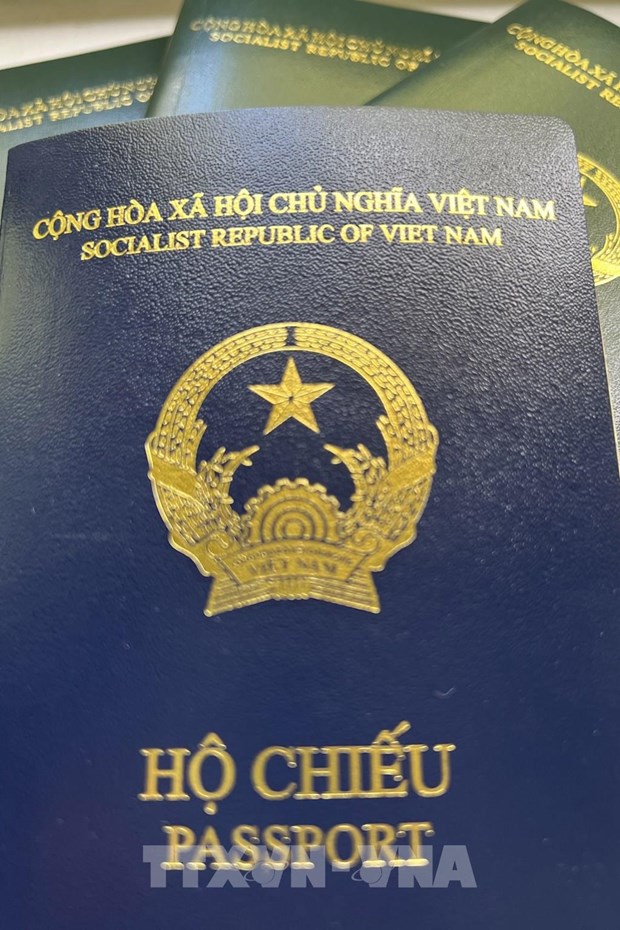 Вьетнам активно обсуждает с немецкои сторонои в связи с проблемои с паспортом нового образца hinh anh 2