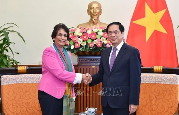 Министр иностранных дел Вьетнама и директор ПРООН в Азии обсудили будущее сотрудничество hinh anh 1