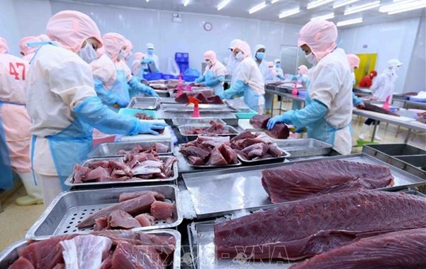 Экспорт тунца резко растет в условиях «инфляционного шторма» hinh anh 1