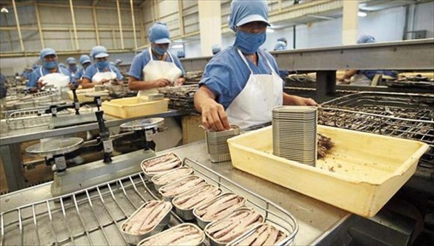 Экспорт тунца из Вьетнама во Францию ​​вырос на 203% за 7 месяцев hinh anh 1