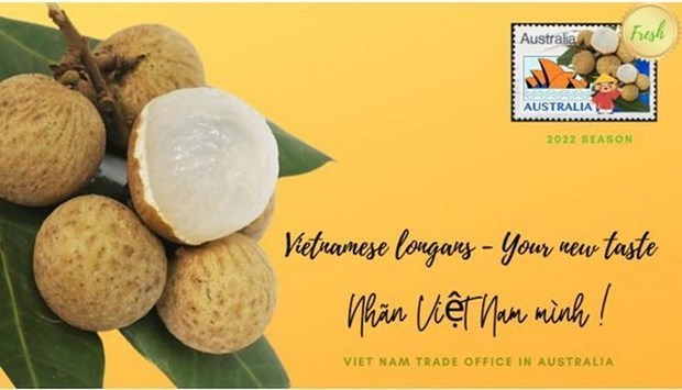 10 тонн вьетнамского лонгана экспортированы в Австралию hinh anh 1