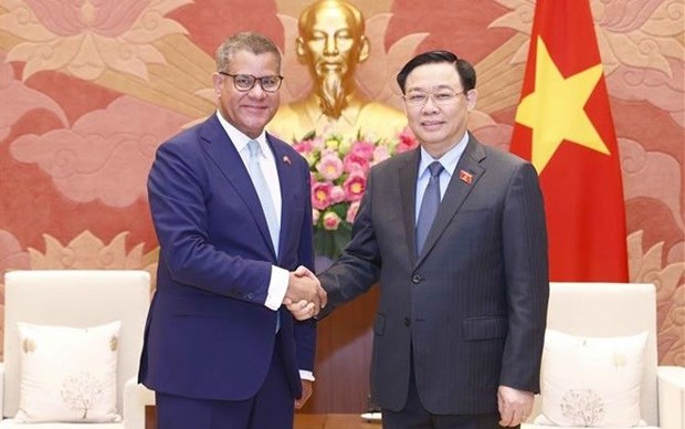 Председатель НС: Вьетнам решительно выполняет свои обязательства по COP26 hinh anh 1