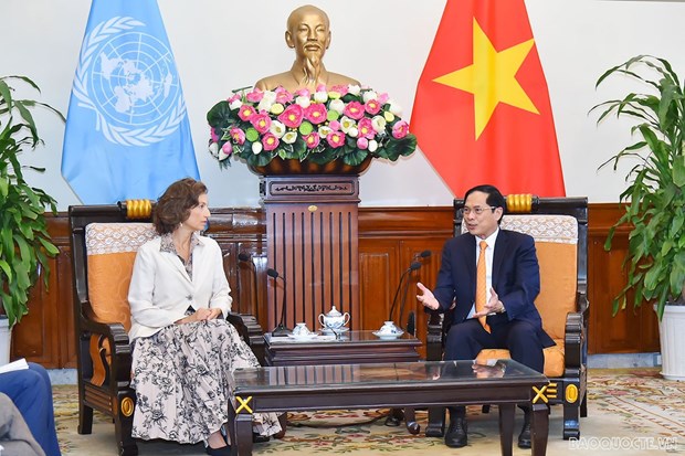 Министр иностранных дел Буи Тхань Шон принял Генерального директора ЮНЕСКО hinh anh 1