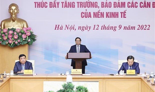 Премьер-министр Фам Минь Тьинь возглавил конференцию по макроэкономическои стабильности hinh anh 1