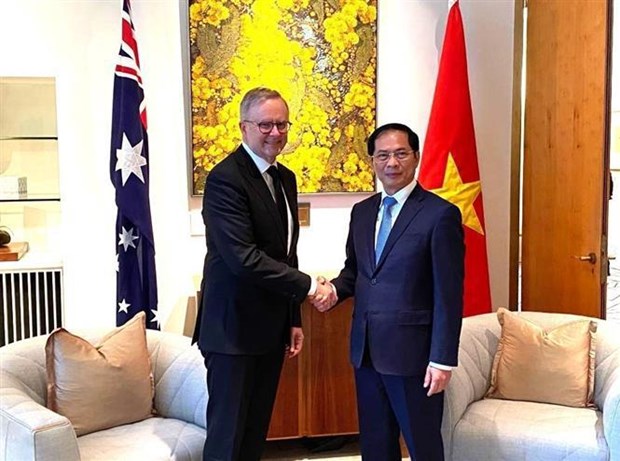 Министр иностранных дел Буи Тхань Шон имел встречу с премьер-министром Австралии hinh anh 1
