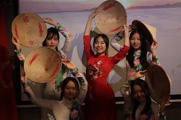 Неделя культуры Вьетнама 2022 года проходит в Венгрии hinh anh 1