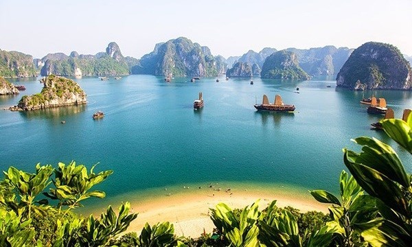 Вьетнам входит в десятку самых популярных направлении для австралиицев hinh anh 1