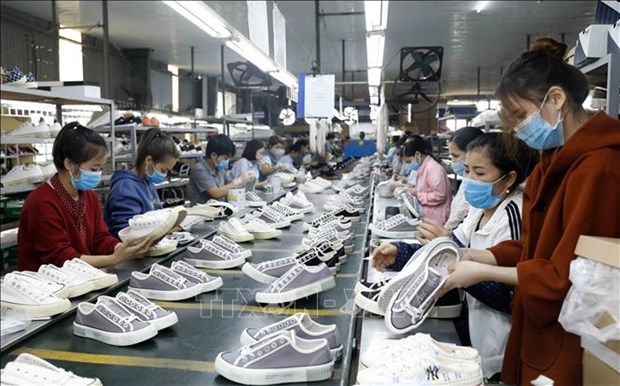 Текстильная и обувная промышленность адаптирует экологические стандарты для увеличения экспорта в ЕС hinh anh 1