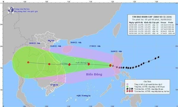 Премьер-министр приказал принять срочные меры против таифуна «Нору» hinh anh 1