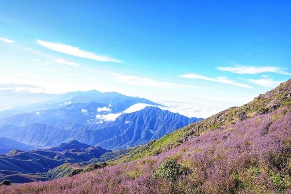 Иенбаи запускает туры для покорения двух самых высоких гор Вьетнама hinh anh 2