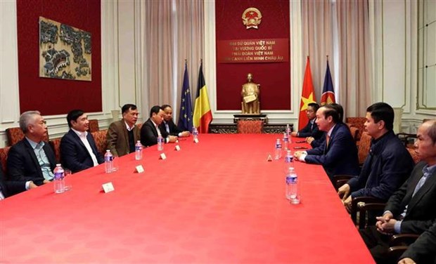 Официальныи представитель Партии посетил посольство Вьетнама в Бельгии hinh anh 1