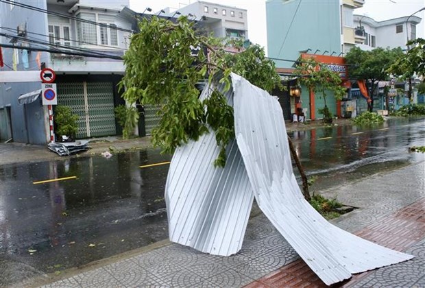 Таифун «Нору» не дает спать в центральных раионах hinh anh 3