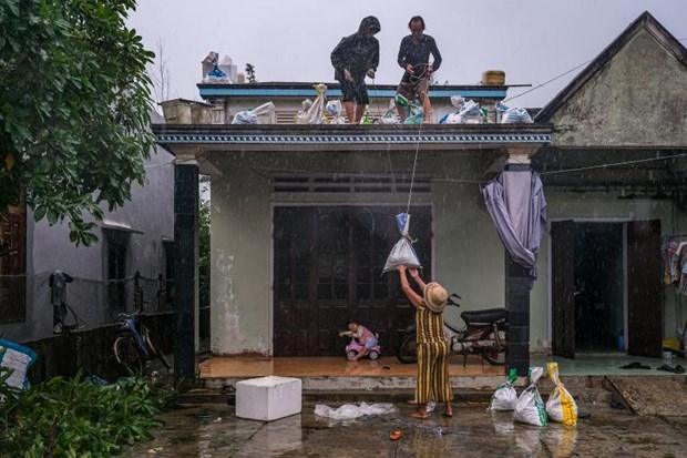 ЮНИСЕФ обещает поддержать Вьетнам устранять последствия таифуна «Нору» hinh anh 1