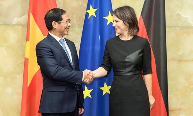 Министр иностранных дел Буи Тхань Шон находится с официальным визитом в Германии hinh anh 1