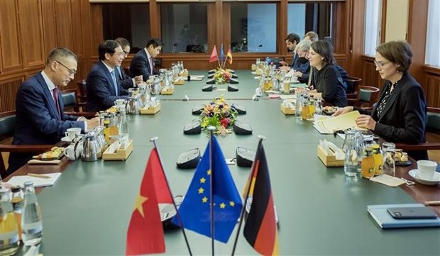 Министр иностранных дел Буи Тхань Шон находится с официальным визитом в Германии hinh anh 2