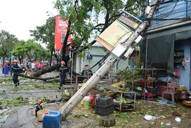 Премьер-министр: использование ресурсов для ликвидации последствии таифуна «Нору» hinh anh 2