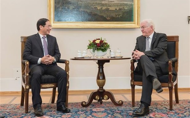 Министр иностранных дел Буи Тхань Шон находится с официальным визитом в Германии hinh anh 3
