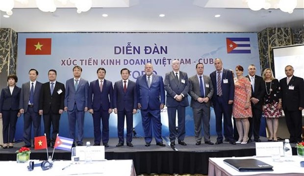 Вьетнам и Куба наращивают инвестиции и торговые связи hinh anh 2