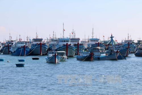 Чавинь и Бенче развивают морскую экономику hinh anh 4