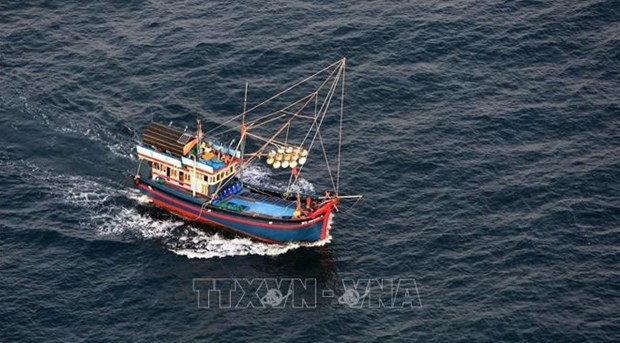 Таиская газета: Вьетнам прилагает больше усилии для искоренения незаконного рыболовства hinh anh 1