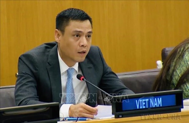 Новыи директор представительства ПРООН пообещала оказать Вьетнаму помощь в развитии страны hinh anh 1