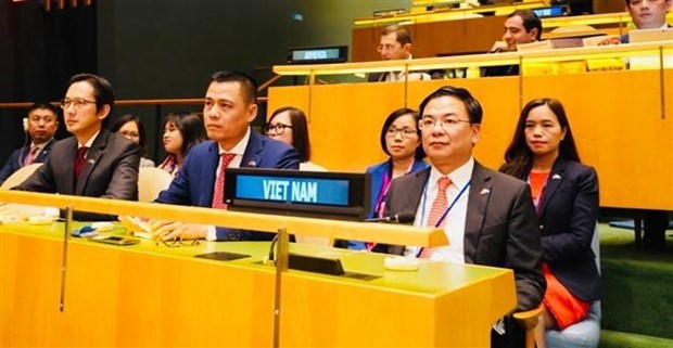 Руководитель МИД: Подтверждение позиции и усилии Вьетнама по поощрению прав человека hinh anh 1