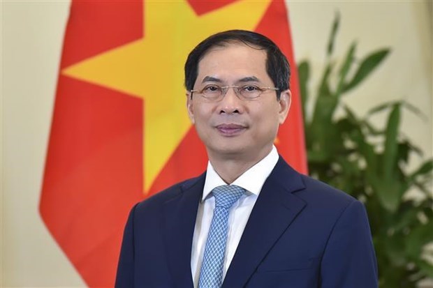 Вьетнам присоединится к международному сообществу, чтобы построить мир во всем мире hinh anh 1