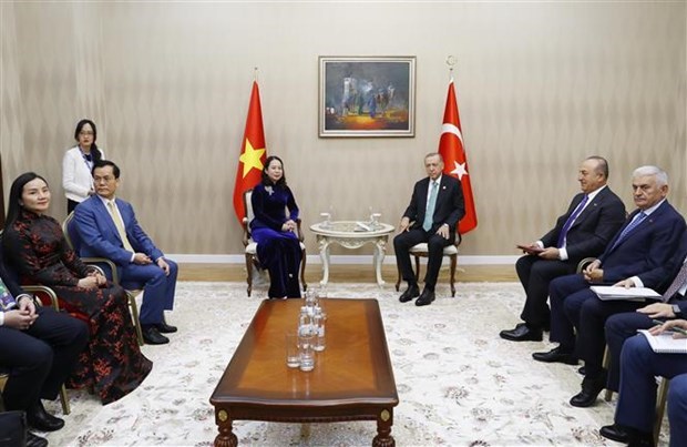 Вице-президент Вьетнама встретилась с лидерами иностранных государств в Казахстане hinh anh 2