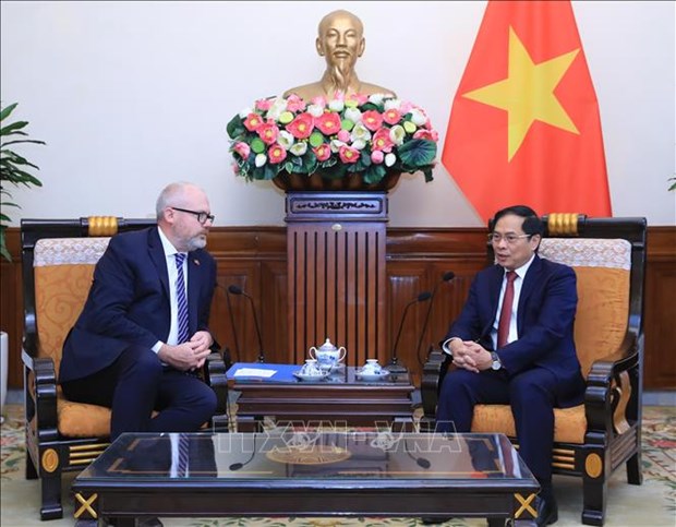 Министр иностранных дел Буи Тхань Шон принял сенатора, со-министра торговли и производства Австралии hinh anh 1