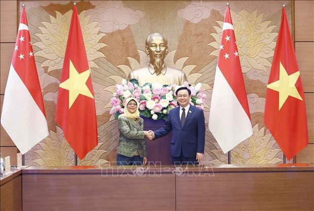 Председатель НC Выонг Динь Хюэ имел встречу с президентом Сингапура hinh anh 1