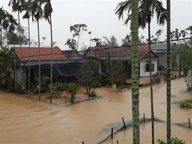 Таифун «Несат» входит в Восточное море, местные жители предупреждены о необходимости быть начеку hinh anh 2