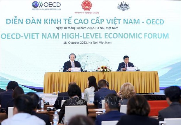 Укрепление обязательств перед Вьетнамом является одним из главных приоритетов ОЭСР hinh anh 1