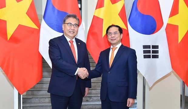 Министр иностранных дел Буи Тхань Шон провел переговоры с министром иностранных дел Кореи hinh anh 1