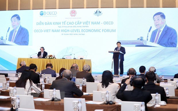 Укрепление обязательств перед Вьетнамом является одним из главных приоритетов ОЭСР hinh anh 2