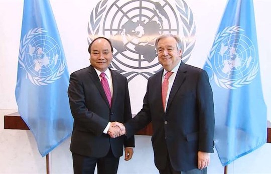 Генеральныи секретарь ООН посетит Вьетнам с официальным визитом hinh anh 1