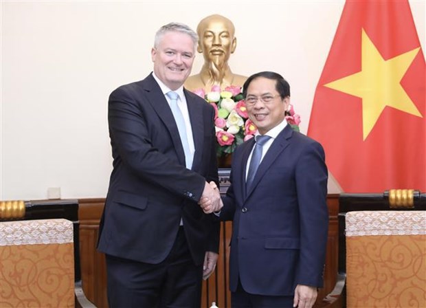Министр: Вьетнам высоко ценит важные политические рекомендации ОЭСР hinh anh 1