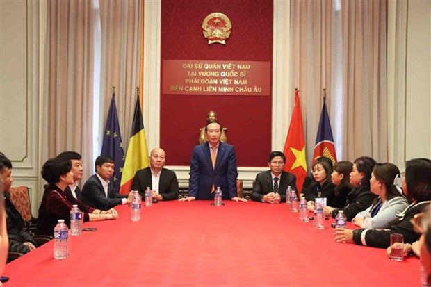 Программа Meet & Greet расширяет торговые связи между Вьетнамом и Бельгиеи hinh anh 2