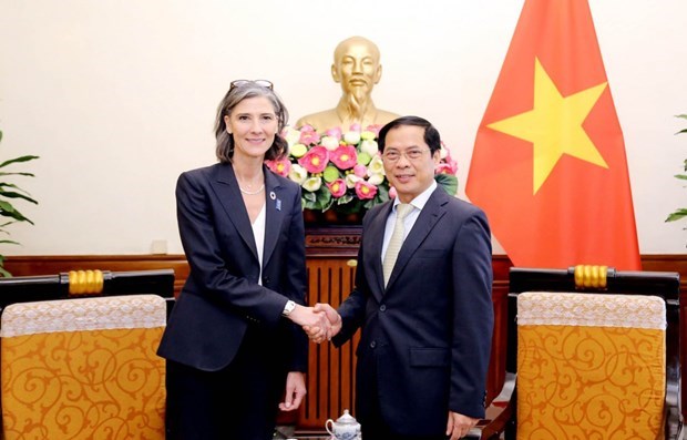 ПРООН всегда придает большое значение сотрудничеству с Вьетнамом hinh anh 1