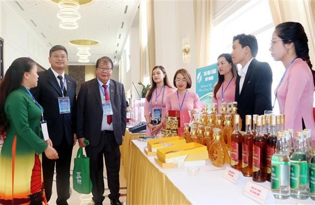 Открылась 17-я Генеральная ассамблея Восточноазиатского межрегионального туристического форума hinh anh 2