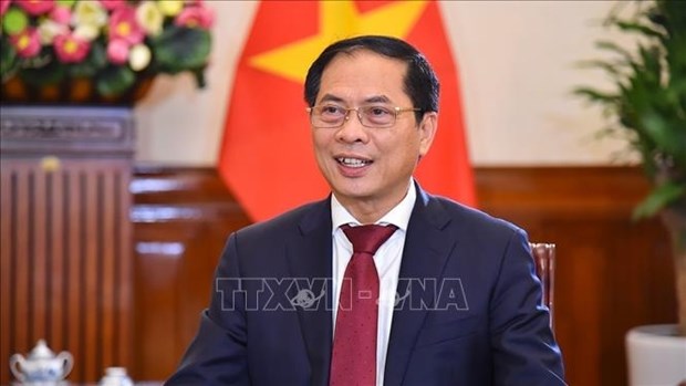 Министр иностранных дел Буи Тхань Шон: Визит, которыи придает новыи импульс вьетнамско-китаиским отношениям hinh anh 1