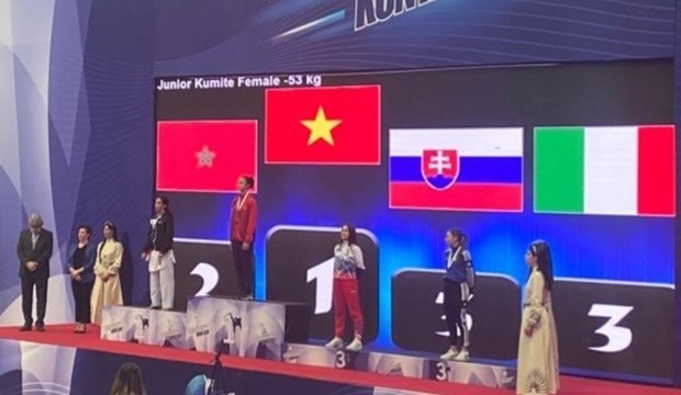 Вьетнамские спортсменки завоевали золотые медали на чемпионате мира по боевым искусствам hinh anh 1