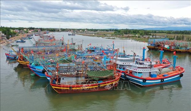 Планирование рыболовных портов – основа устоичивого развития рыбохозяиственного сектора hinh anh 1