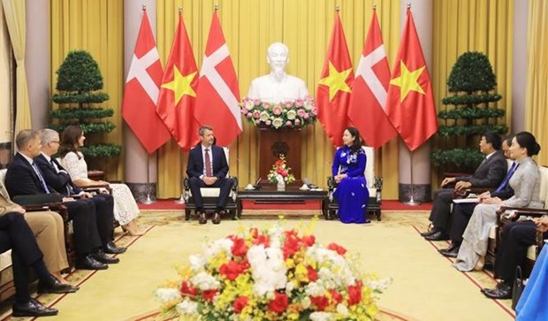Вице-президент Во Тхи Ань Суан имела встречу с Кронпринцем Дании hinh anh 2