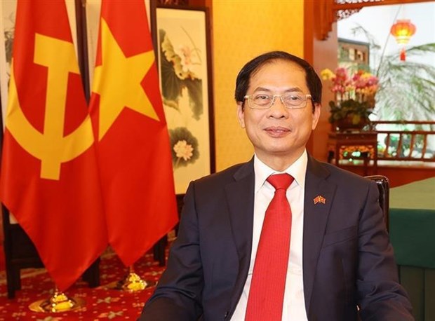 Министр иностранных дел: Всестороннее партнерство между Вьетнамом и Китаем будет и впредь развиваться более динамично hinh anh 1