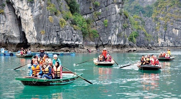 Во Вьетнаме наблюдается значительныи рост числа индииских туристов hinh anh 1